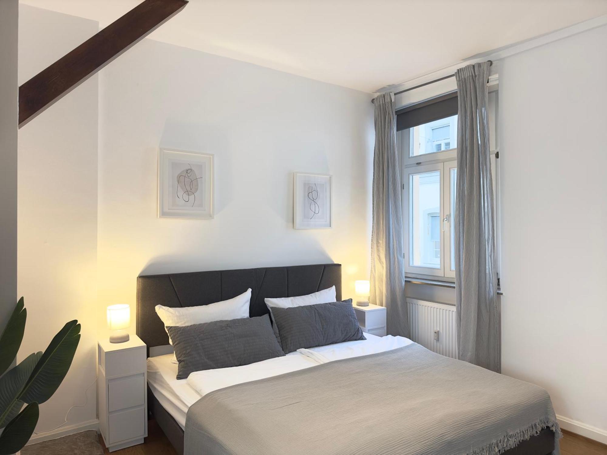 Luxury Old Town Suite - Xxl Terrasse & Xxl Penthouse Heidelberg Zewnętrze zdjęcie