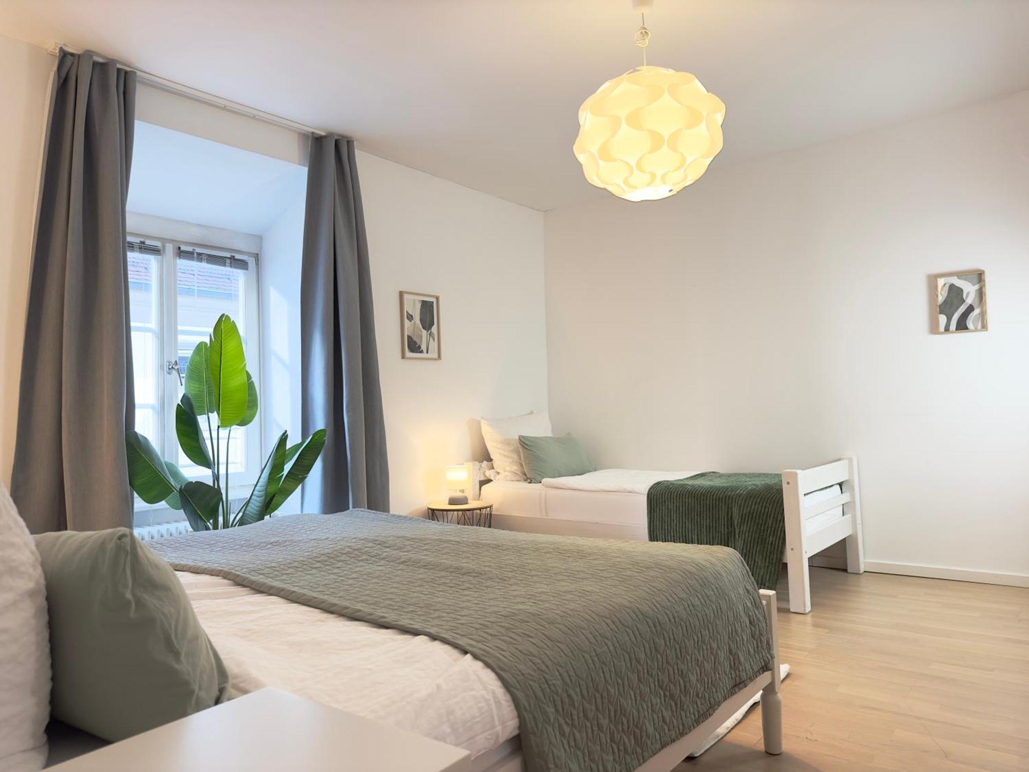 Luxury Old Town Suite - Xxl Terrasse & Xxl Penthouse Heidelberg Zewnętrze zdjęcie